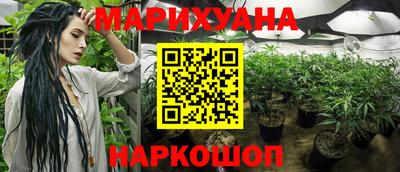 меф Гатчина