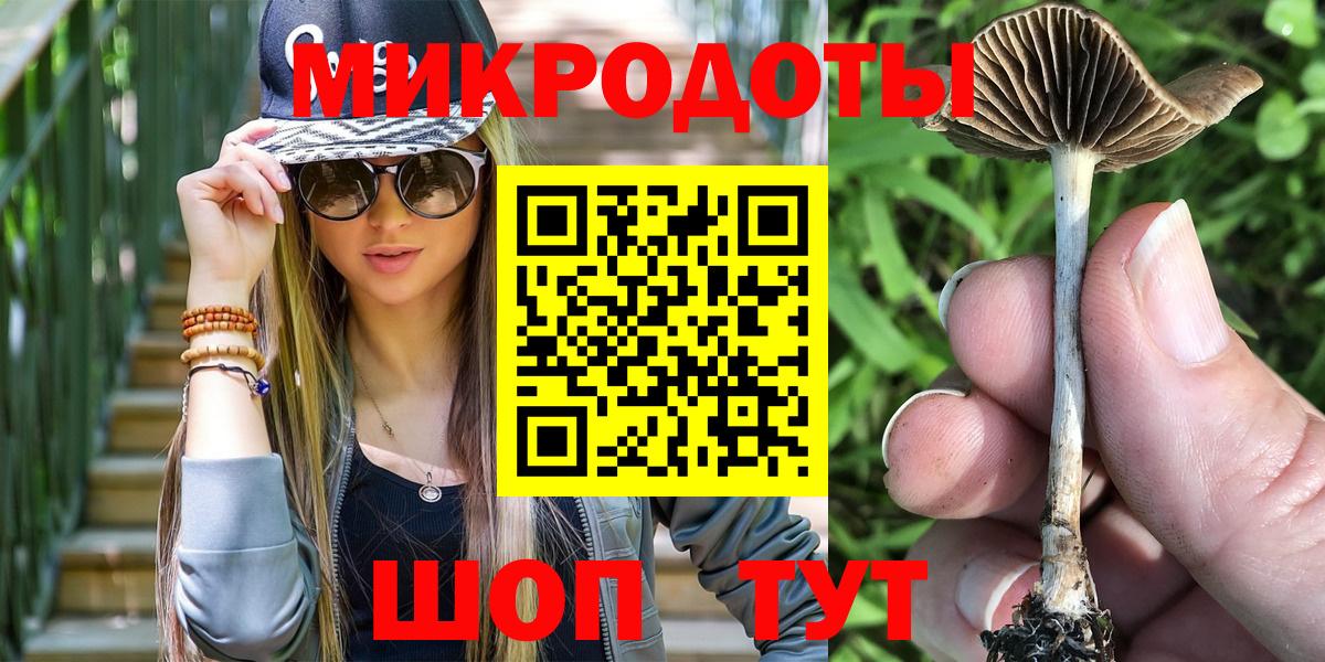 Галлюциногенные грибы Psilocybine cubensis  Вход с VPN  Менделеевск  Галлюциногенные грибы GOLDEN TEACHER 