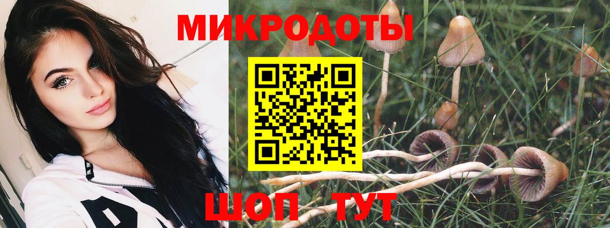 Галлюциногенные грибы мухоморы Менделеевск